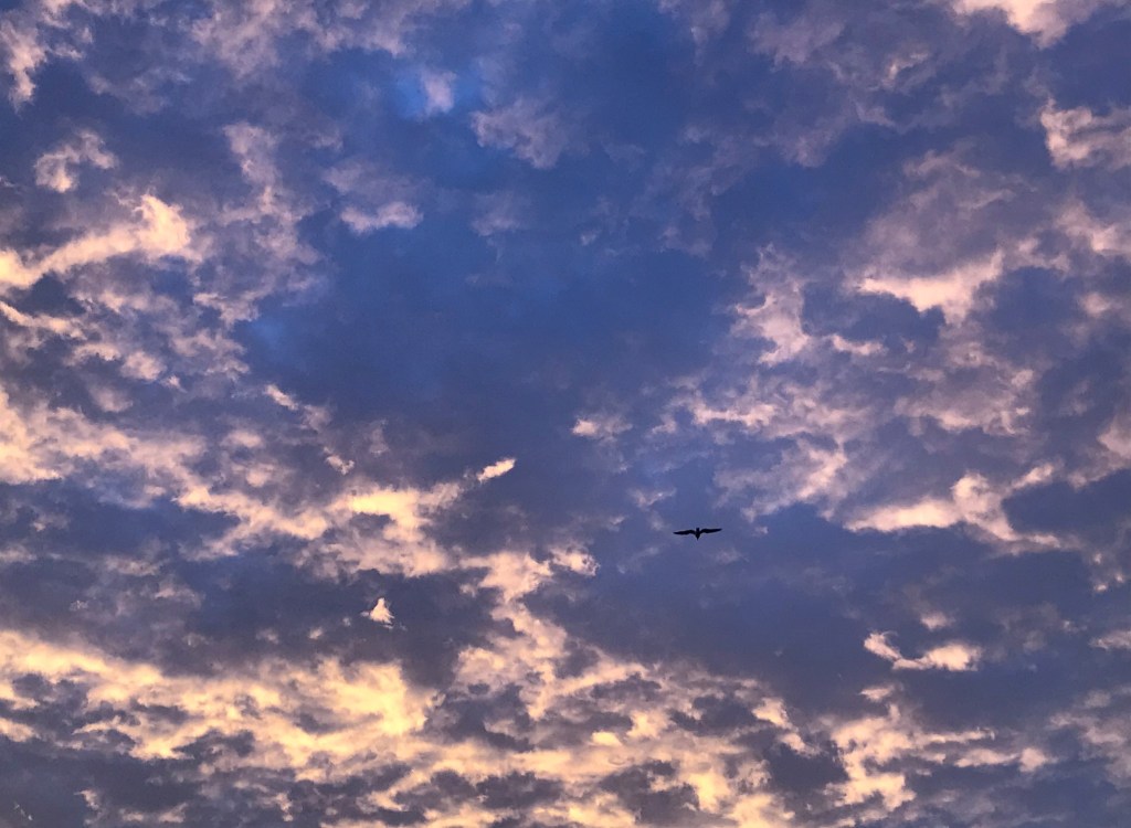 Understanding the sauna