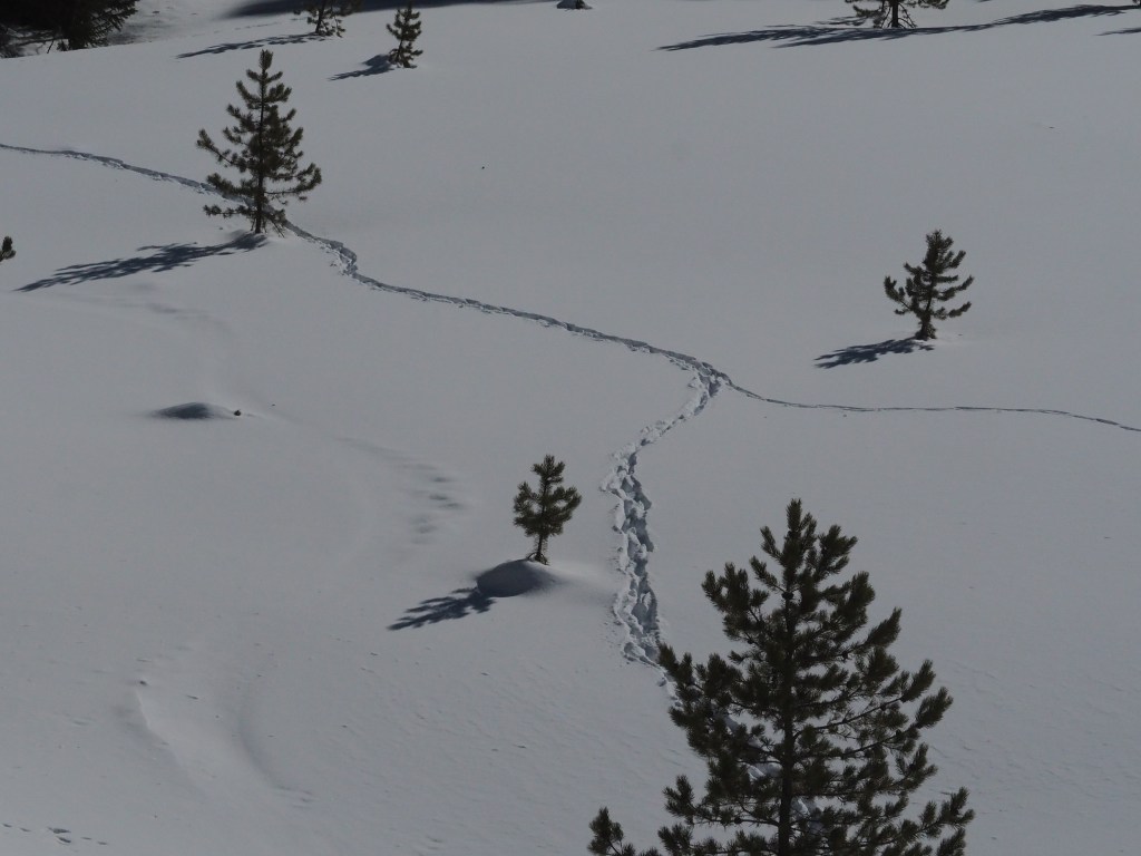 Live Your Life (and&nbsp;sanitize)