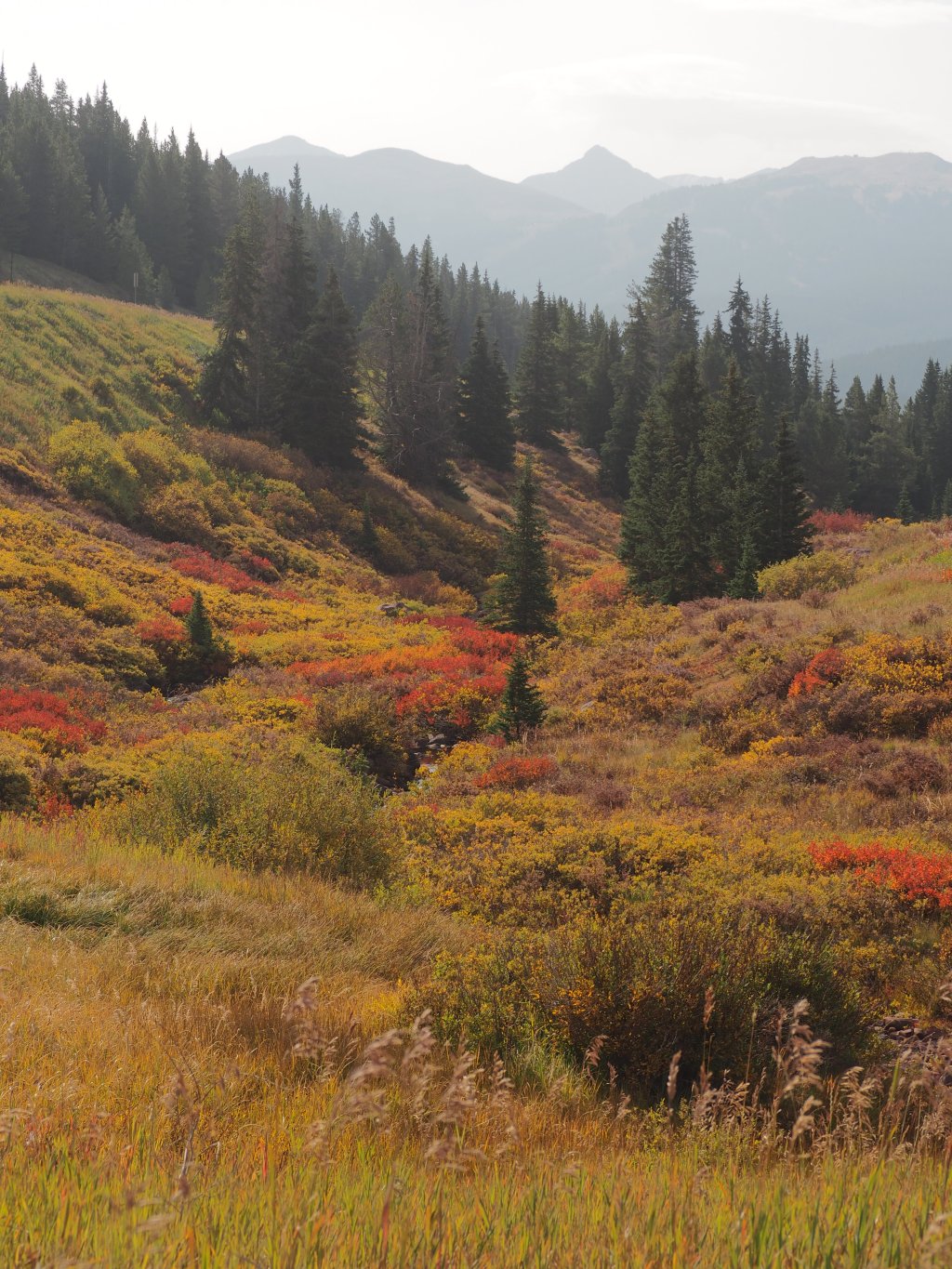 To everything, turn turn&nbsp;turn