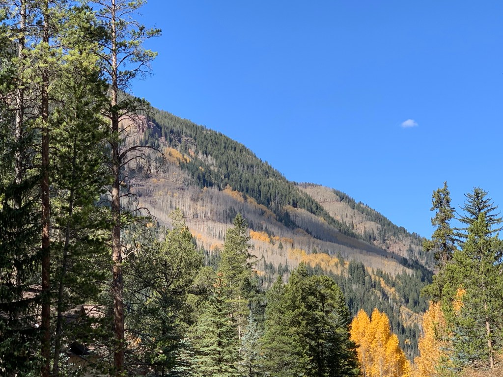 Nothing Gold Can&nbsp;Stay