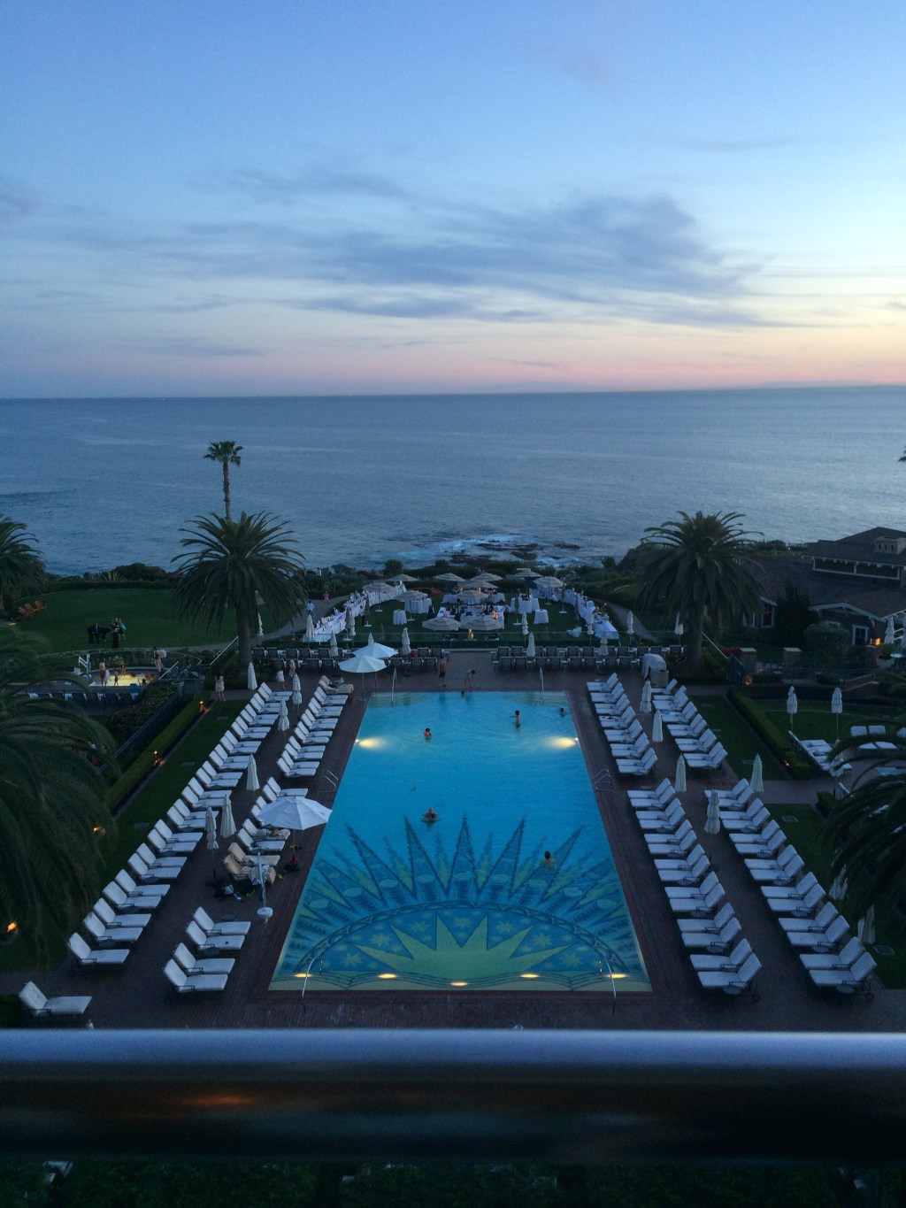 The Next Swan&nbsp;Dive