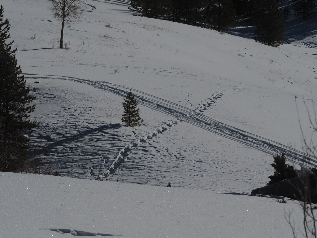 Winter has come,&nbsp;again