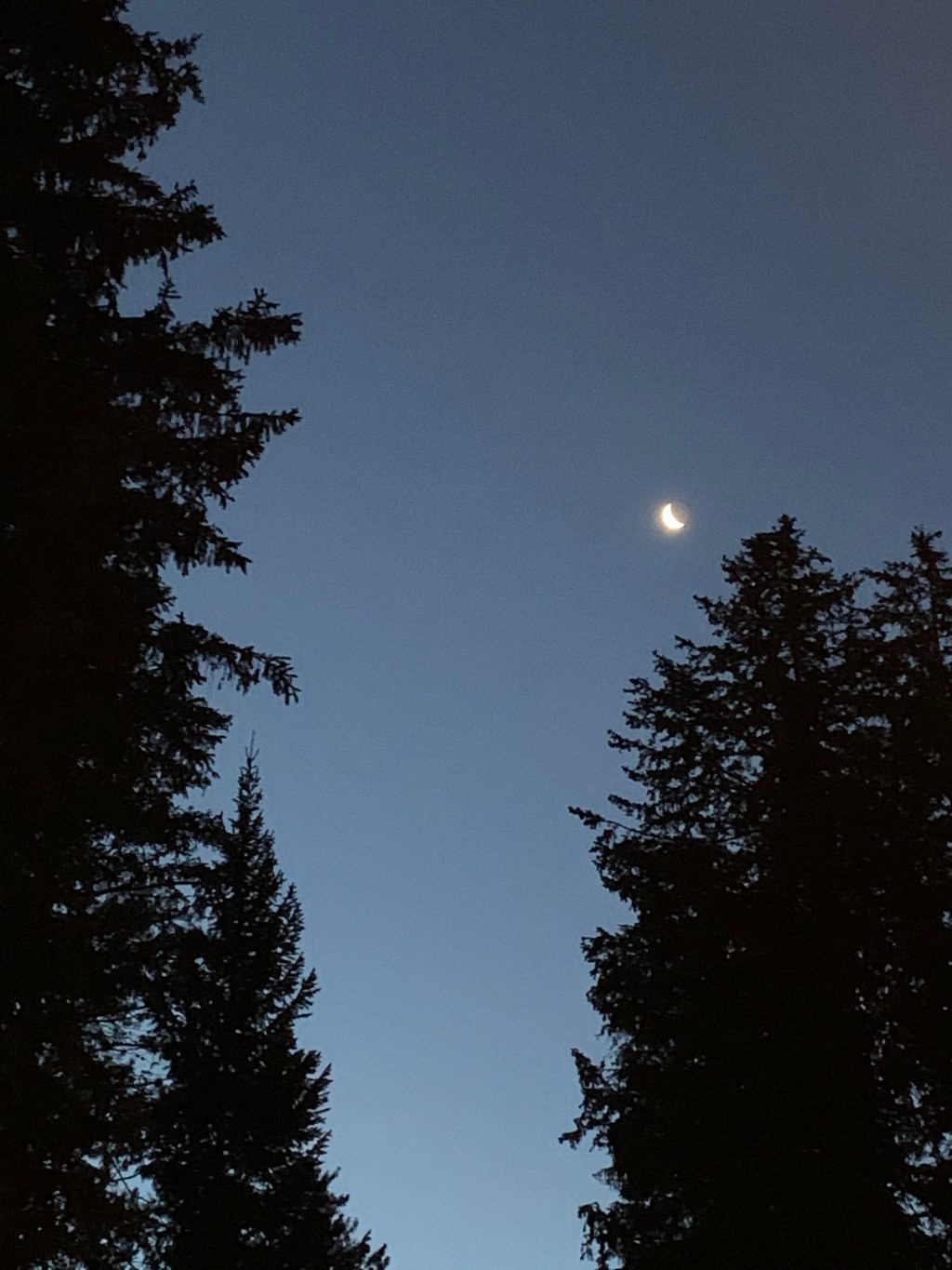 One Long Year, Bring on What’s&nbsp;Next