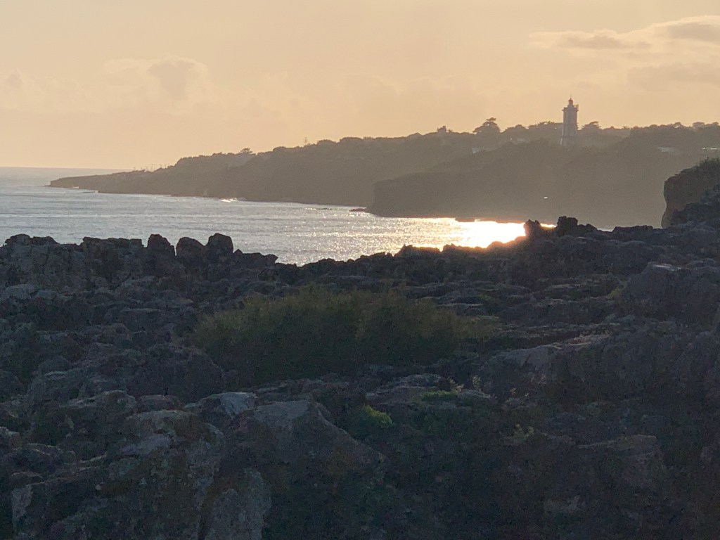 Flying back to Europe in COVID&nbsp;times