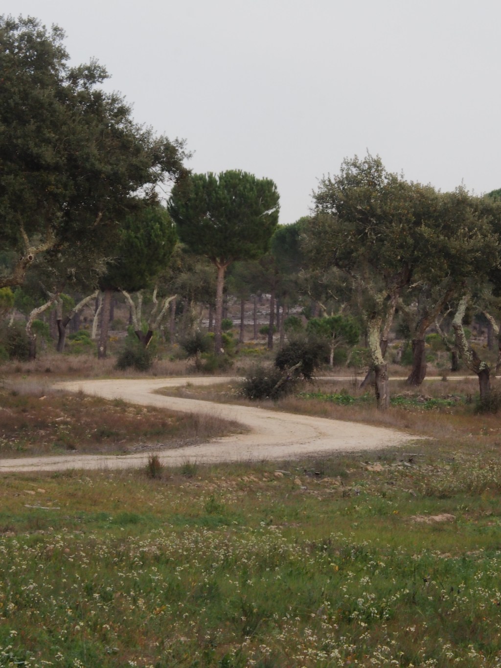 The Less Travelled Road