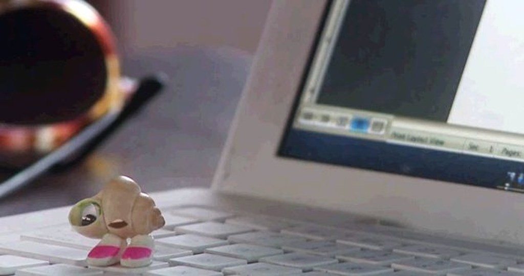 A Shell with Shoes On